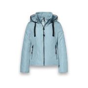 Windjack District Bluebell