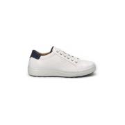 Lage Sneakers Josef Seibel Maddox