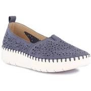 Instappers Grunland DSG-SC6183