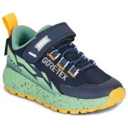 Lage Sneakers Primigi B G STORM GTX