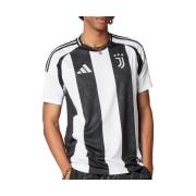 T-shirt Korte Mouw adidas -