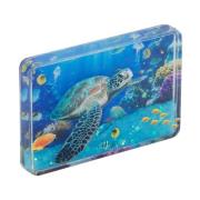 Beeldjes Signes Grimalt Magnetische Schildpad