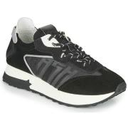 Lage Sneakers Ash TIGER