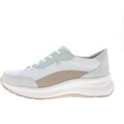 Lage Sneakers Finn Comfort SAVONA