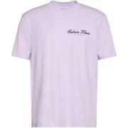 T-shirt Korte Mouw Calvin Klein Jeans 20S March Graphic Se