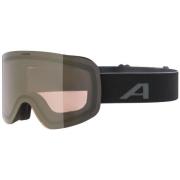 Sportaccessoires Alpina -