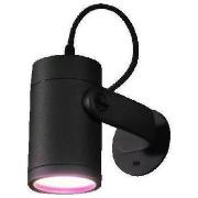 Buitenlicht Philips Projecteur de jardin Hue connecté 8W noir
