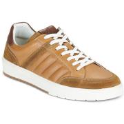 Lage Sneakers Bullboxer 7VD0010101