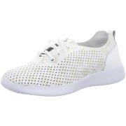 Lage Sneakers Artiker -