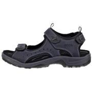 Sandalen Ecco Offroad