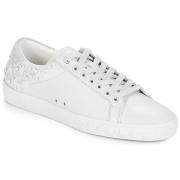 Lage Sneakers Ash DAZED