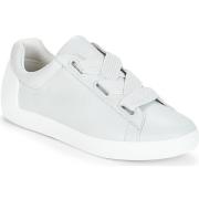 Lage Sneakers Ash NINA