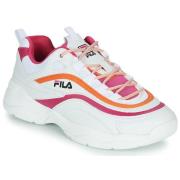 Lage Sneakers Fila RAY CB LOW WMN