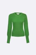 Fabienne Chapot Pullover Lillian Groen dames