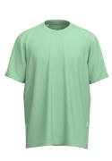 Selected Homme T-shirt Aspen Groen heren