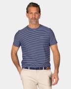 NZA T-shirt Pablo Blauw heren