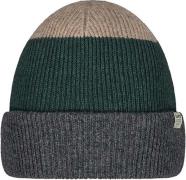 Barts Muts Walnur Beanie Grijs heren
