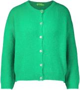 Bomont Vestje Groen dames