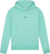 Pure Path Hoodie Bold Emblem  Groen heren