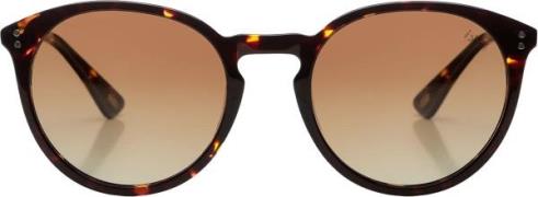 Ikki Bril Rosie Bruin dames