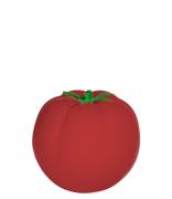 Tomato Educational Ball