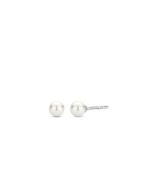 925 Sterling Silver Earrings 7940PW