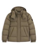 H-Corbinian5 10243820 01