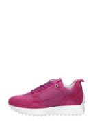 Red Rag - Women Retro Runner Fuchsia