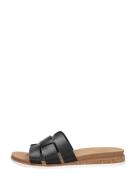 Skechers - Bobs Desert Kiss Low - Peak Look