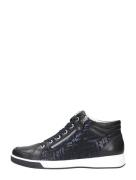 Ara - Rom St High Soft