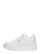 Guess - Delove