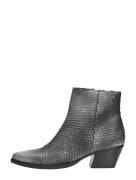 Lazamani - Phoebe Zilver