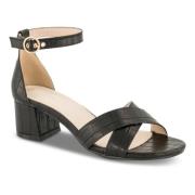 High Heel Sandals B&Co , Black , Dames