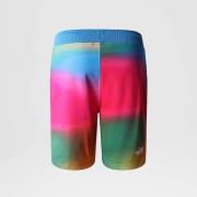 Casual Shorts The North Face , Multicolor , Heren