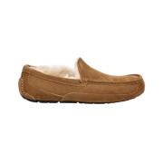 Ascot Slippers UGG , Brown , Heren