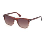 Zonnebril We0339 in 71F Kleur WEB Eyewear , Brown , Heren