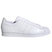 Iconische Superstar Sneakers Adidas , White , Heren