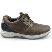 Taupe Leren Gevoelige Schoenen Gabor , Gray , Dames