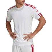 Heren T-Shirt Adidas , White , Heren