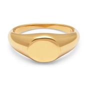 Men's Gold Mini Signet Ring Nialaya , Yellow , Heren