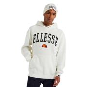 Hoodies Ellesse , White , Heren