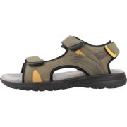 Stijlvolle platte sandalen voor mannen Geox , Green , Heren