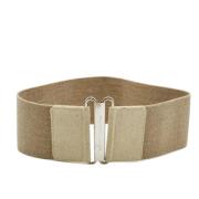 Pre-owned Canvas belts Dolce & Gabbana Pre-owned , Beige , Dames