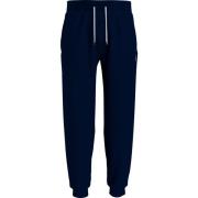 Blauwe Elastische Joggers Katoen Honingraat Tommy Jeans , Blue , Heren