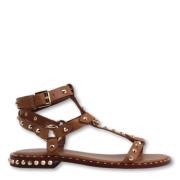 Studded Gladiator Sandals ASH , Brown , Dames