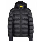 Zwarte Gewatteerde Donsjas met Capuchon Parajumpers , Black , Heren