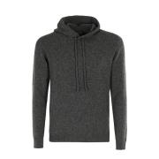 Baby Camel Wool Hooded Sweater Roberto Collina , Gray , Heren