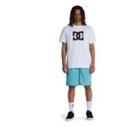 Wayford Shorts DC Shoes , Blue , Heren