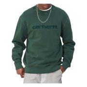 Duster Hoodie Carhartt Wip , Green , Heren