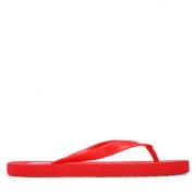 Elemental Sandalen North Sails , Red , Heren